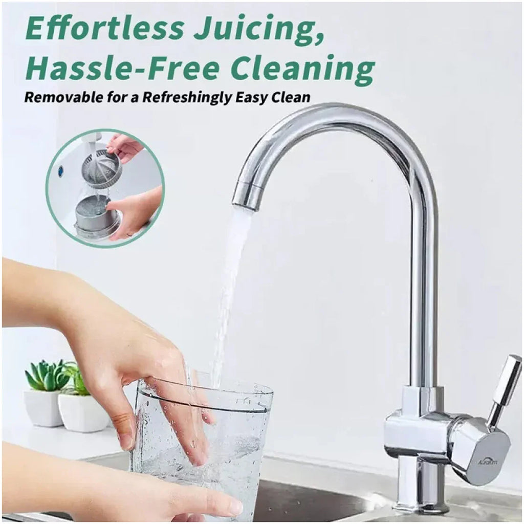 Mini electric juicer preparing fresh watermelon juice instantly