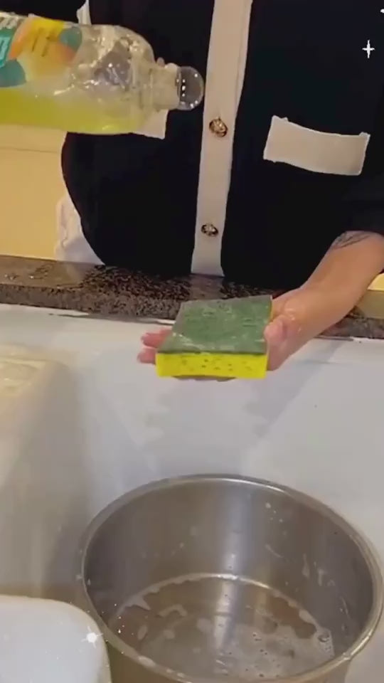 sponge